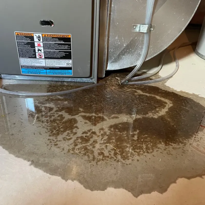 Appliance Leak Cleanup in Jamestown, OH