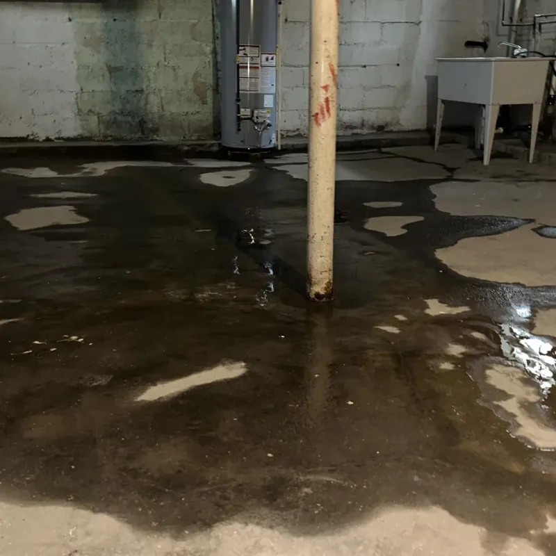 Emergency Water Extraction And Removal in Jamestown, OH